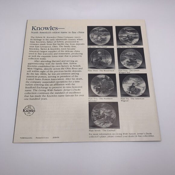 The Blue Winged Teal Plate Living With Nature Jerners Ducks Bart Jerner Knowles - Picture 9 of 9